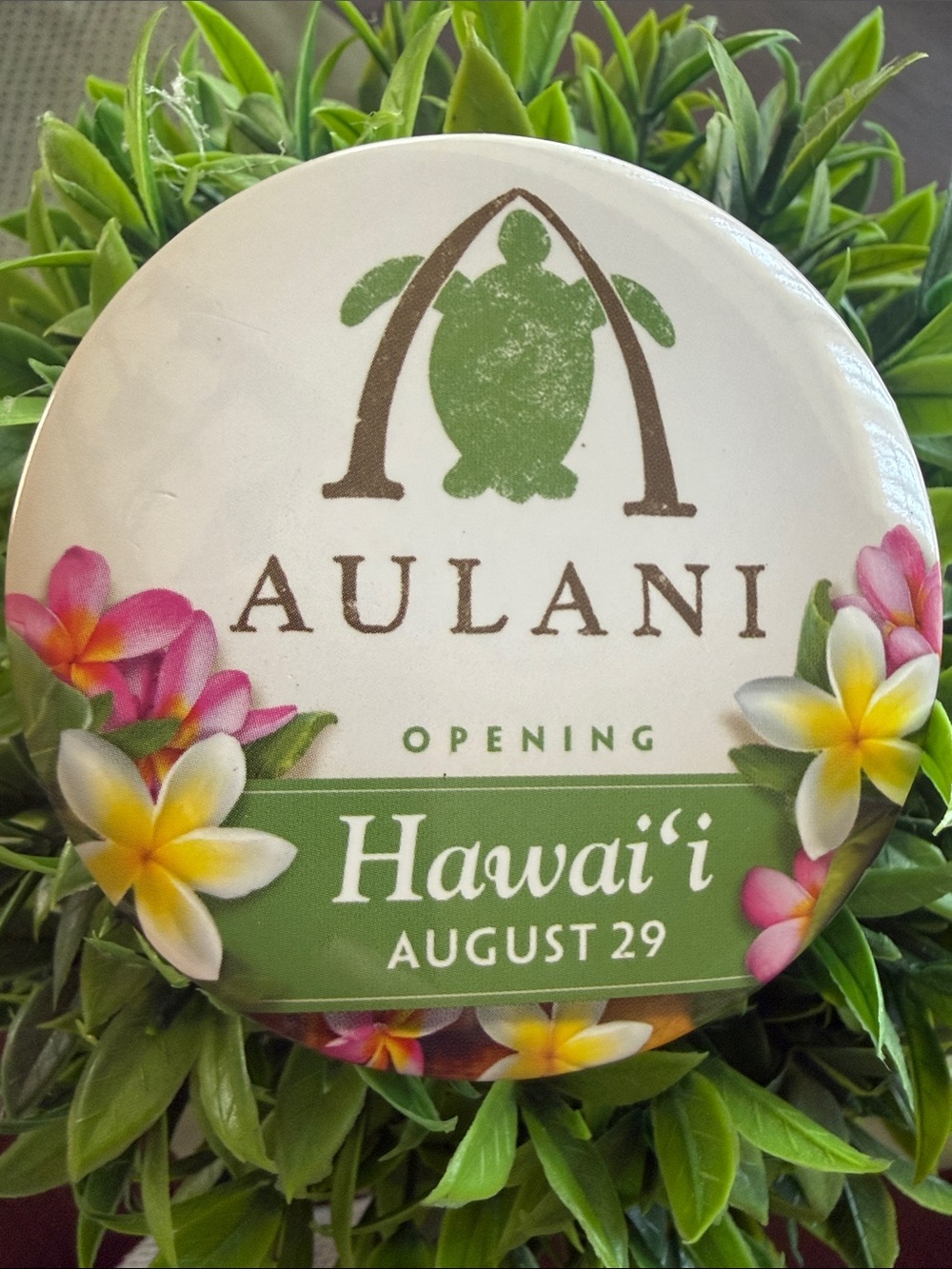 DISNEY RESORT🌸AULANI🌸OPENING🐢HAWAII AUGUST 29🐢COLLECTIBLE PINBACK BUTTON
